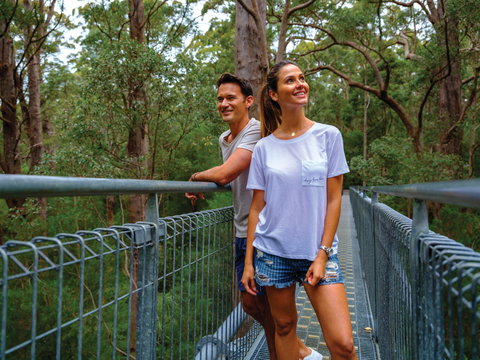 Valley Of The Giants Tree Top Walk - Attractions Sydney 0
