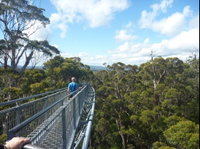 Walpole-Nornalup National Park