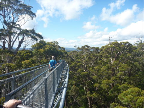Walpole-Nornalup National Park - Attractions Sydney 0
