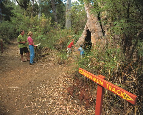 Walpole-Nornalup National Park - Attractions Sydney 1