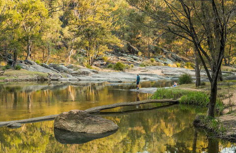 Warrabah National Park - Attractions Sydney 0
