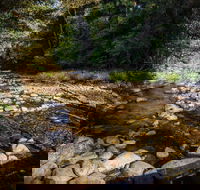 Wilson River picnic area - Attractions Sydney