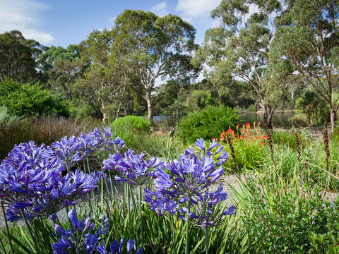 Wittunga Botanic Garden - Attractions Sydney 0
