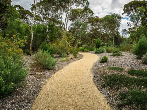 Wittunga Botanic Garden - Attractions Sydney 1