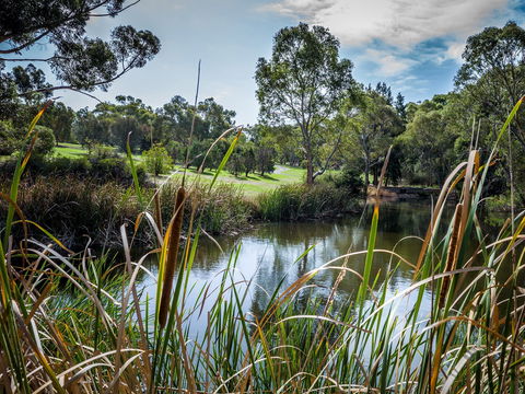 Wittunga Botanic Garden - Attractions Sydney 2