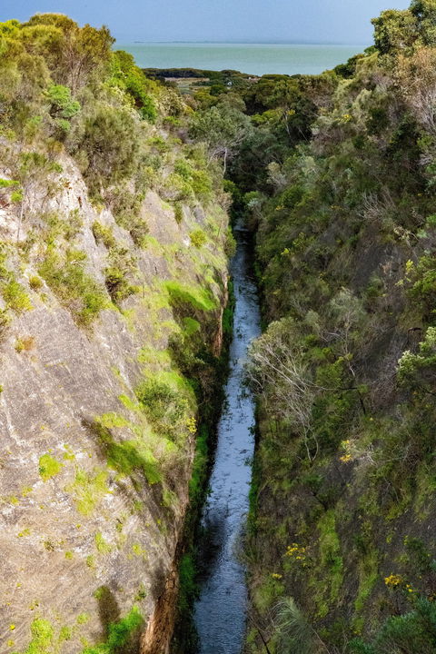 Woakwine Cutting - Attractions Sydney 0