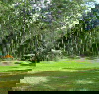Woolgoolga Creek Picnic Area - Attractions Sydney