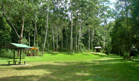 Woolgoolga Creek Picnic Area - Attractions Sydney 0