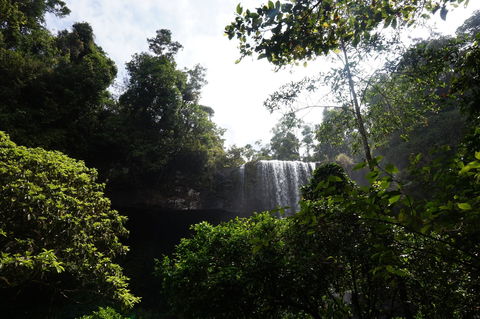 Zillie Falls - Attractions Sydney 1