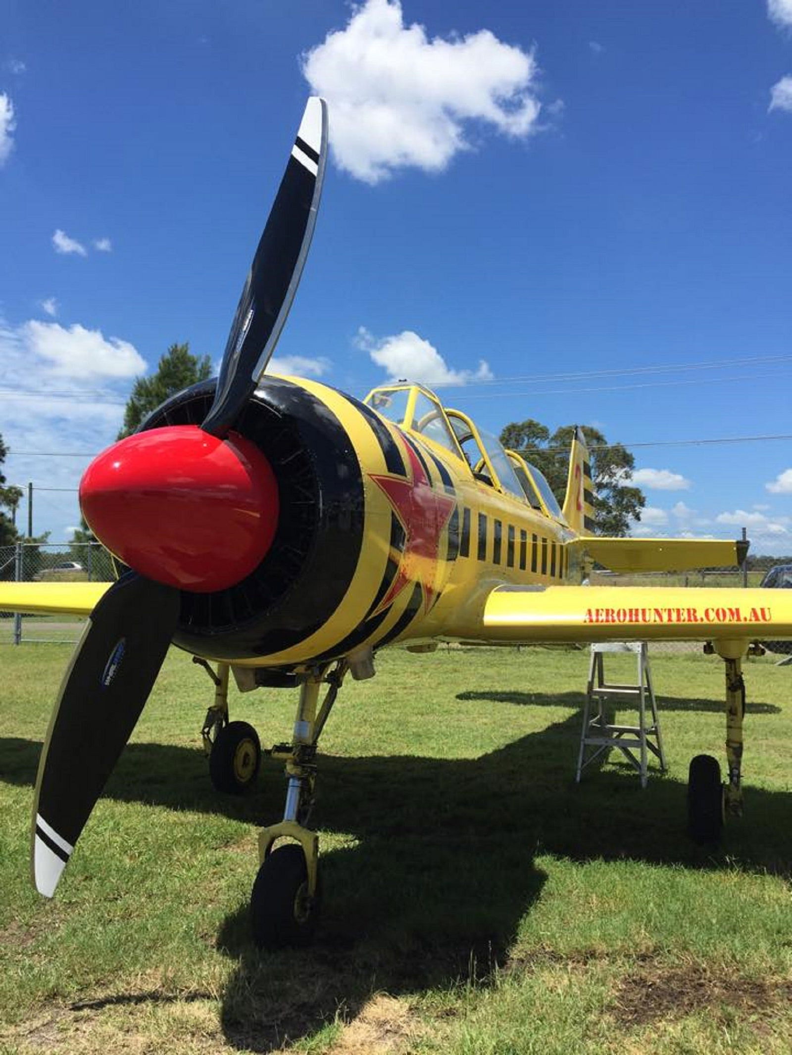 Bolwarra NSW Attractions Sydney