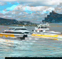 Apex Camps Magnetic Island Group Accommodation Activities and Events - Attractions Sydney