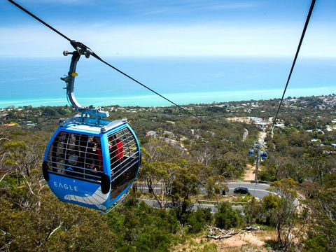 Arthurs Seat Eagle - Attractions Sydney 1