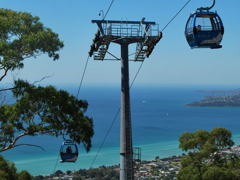 Arthurs Seat Eagle - Attractions Sydney 2