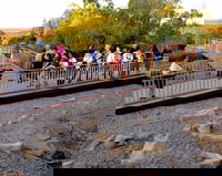 Australian Age of Dinosaurs