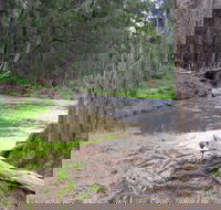 Bangadilly National Park - Attractions Sydney