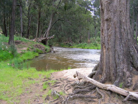 Bangadilly National Park - Attractions Sydney 0