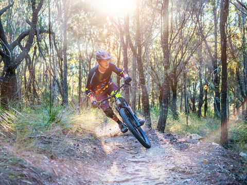 Bayview Conservation Area - Attractions Sydney 0