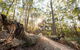 Bayview Conservation Area - thumb 1