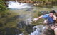 Berry Springs - thumb 1