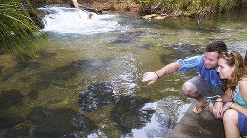Berry Springs - Attractions Sydney 1