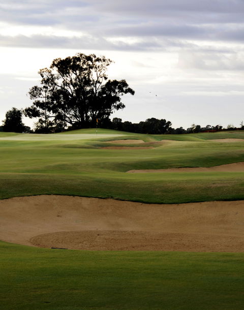 Black Bull Golf Course - Attractions Sydney 1
