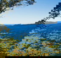 Blackbutt Lookout Picnic Area - Attractions Sydney
