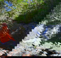 Booloumba Falls Walk Conondale National Park - Attractions Sydney