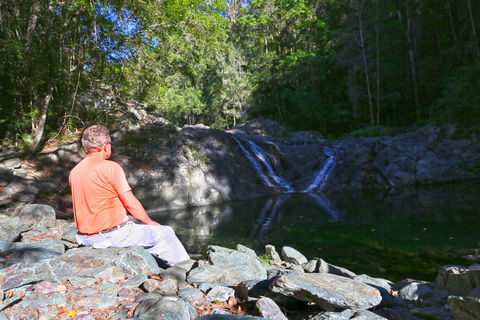 Booloumba Falls Walk, Conondale National Park - Attractions Sydney 0
