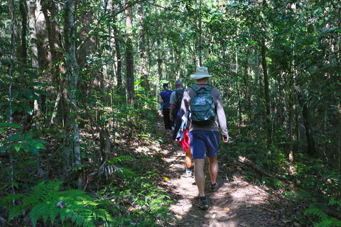Booloumba Falls Walk, Conondale National Park - Attractions Sydney 1
