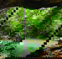 Buderim - Attractions Sydney