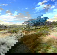 Bullocks walking track - Attractions Sydney