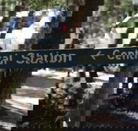 Central Station - Attractions Sydney