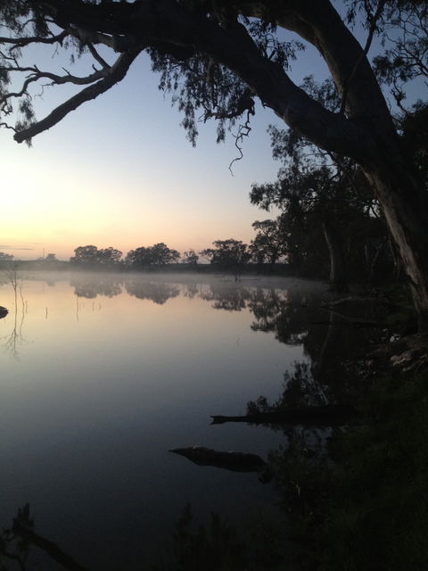 Cockatoo Lake Recreation Reserve - Attractions Sydney 0