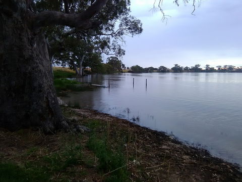 Cockatoo Lake Recreation Reserve - Attractions Sydney 1