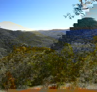 Conondale National Park - Attractions Sydney