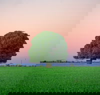 Condamine - Attractions Sydney
