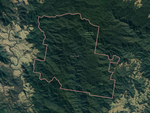 Dingo Forest - Attractions Sydney 0