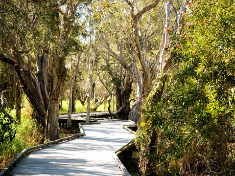 Eagleby Wetlands - Attractions Sydney 1