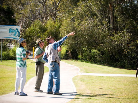 Eagleby Wetlands - Attractions Sydney 2
