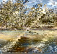 Flea Creek Picnic Area - Attractions Sydney