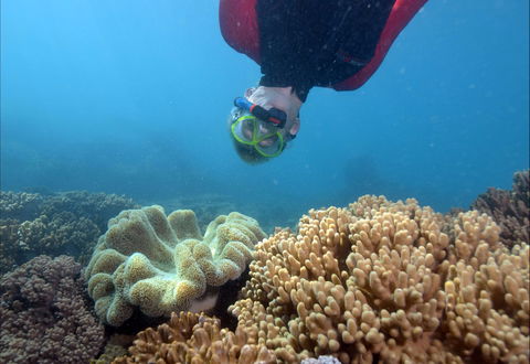 Geoffrey Bay Snorkel Trail - Attractions Sydney 0