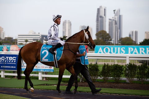 Gold Coast Turf Club - Attractions Sydney 2