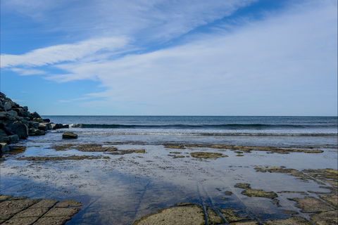 Gondwana Coast Fossil Walk - Attractions Sydney 1