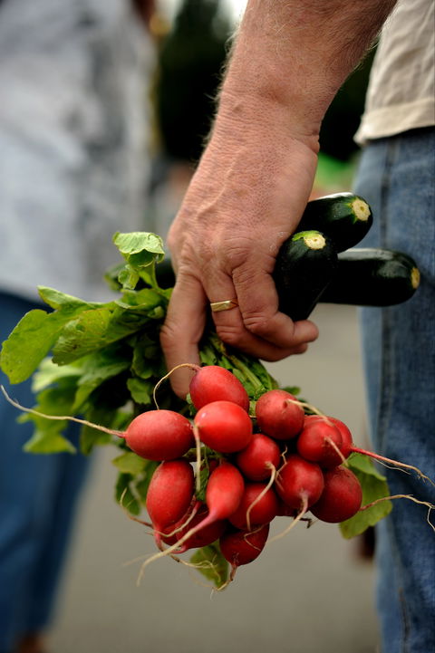 Harvest Launceston Community Farmers' Market - Attractions Sydney 1