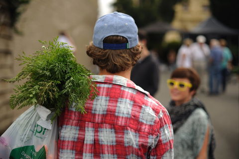 Harvest Launceston Community Farmers' Market - Attractions Sydney 2
