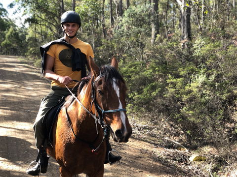 Horse Riding Tasmania - Attractions Sydney 2