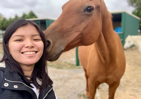 Horses Teaching Humans - Attractions Sydney 0