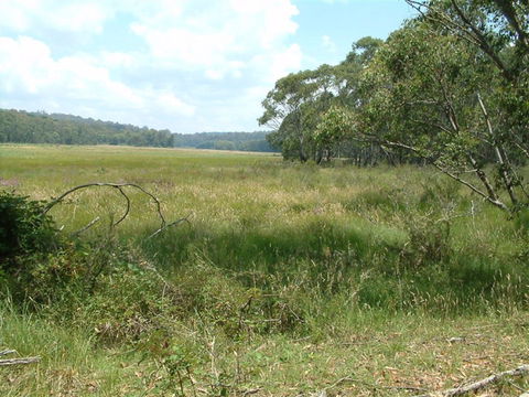 Hume And Hovell Walking Track - Attractions Sydney 2