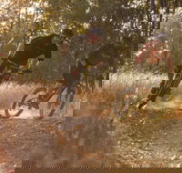 Kholo Gardens Trails - Attractions Sydney