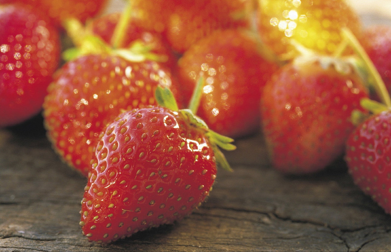 Lambs Valley NSW Attractions Sydney